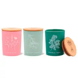 Holland & Barrett Kaarsenbundel - 1 bundel aanbieding