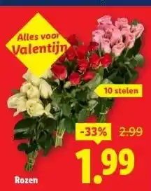 Lidl Rozen aanbieding