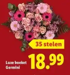 Lidl Luxe boeket Germini aanbieding