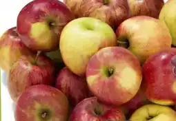 Hoogvliet Jonagold appels aanbieding