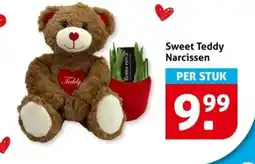 Hoogvliet Sweet Teddy Narcissen aanbieding
