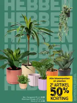 Xenos Alle bloempotten en planten aanbieding