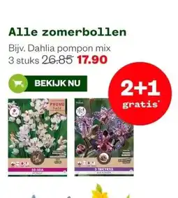 Welkoop Alle zomerbollen aanbieding