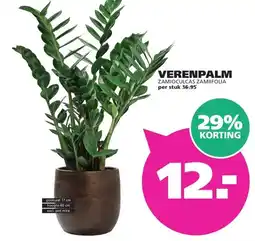 Ranzijn VERENPALM aanbieding