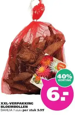 Ranzijn VERPAKKING BLOEMBOLLEN aanbieding