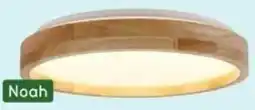 Leen Bakker Plafondlamp Noah aanbieding