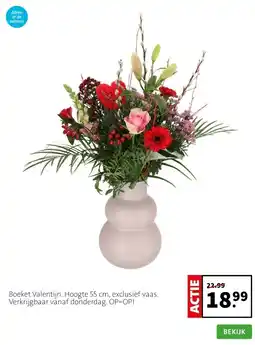 Intratuin Boeket Valentijn. Hoogte 55 cm, exclusief vaas. Verkrijgbaar vanaf donderdag. OP=OP! aanbieding