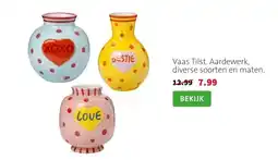 Intratuin Vaas Tilst. Aardewerk, diverse soorten en maten. aanbieding