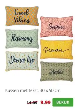 Intratuin Kussen met tekst. 30 x 50 cm. aanbieding