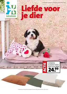 Intratuin HONDEN- KUSSEN TEDDY aanbieding