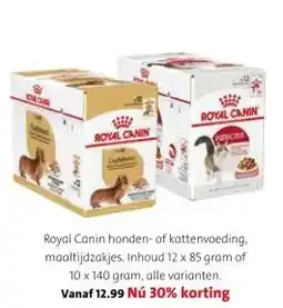 Intratuin Royal Canin honden- of kattenvoeding, maaltijdzakjes. aanbieding