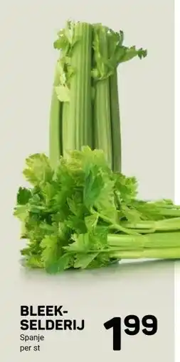 Ekoplaza BLEEK- SELDERIJ aanbieding