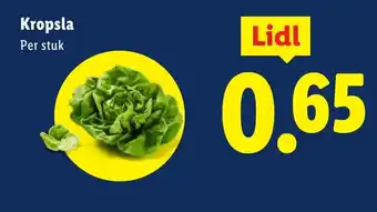 Lidl Kropsla aanbieding