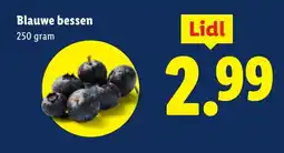 Lidl Blauwe bessen aanbieding