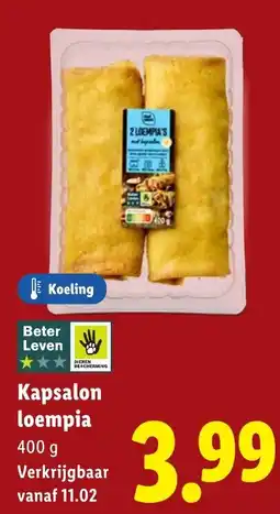 Lidl Kapsalon loempia aanbieding