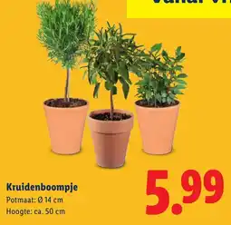 Lidl Kruidenboompje aanbieding