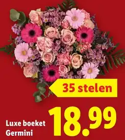Lidl Luxe boeket Germini aanbieding