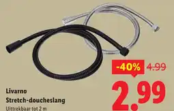 Lidl Livarno Stretch-doucheslang aanbieding