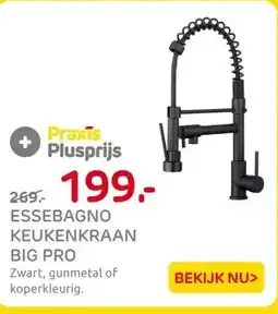 Praxis EsseBagno keukenkraan Big Pro met aanbieding