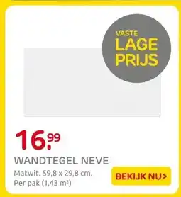 Praxis WANDTEGEL NEVE aanbieding