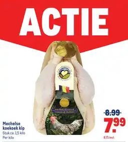 Makro Mechelse koekoek kip aanbieding