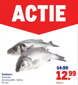 Makro Zeebaars aanbieding
