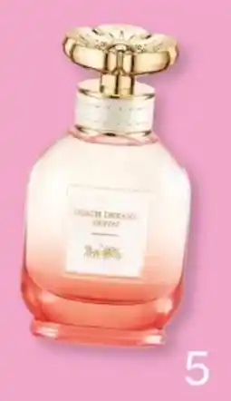 DA Coach Dreams sunset aanbieding