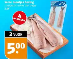 Poiesz Verse maatjes haring aanbieding
