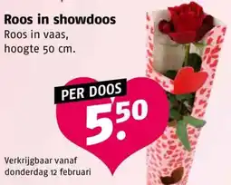 Poiesz Roos in showdoos aanbieding