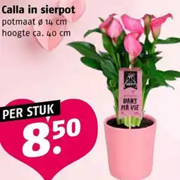Poiesz Calla in sierpot aanbieding