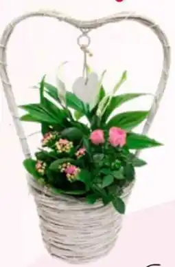 Poiesz Valentijn arrangement hengsel mand aanbieding