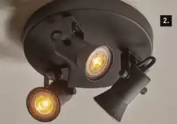 Karwei KARWEI triospot Mic aanbieding