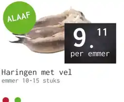 Naanhof Haringen met vel aanbieding