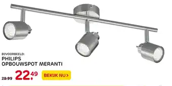 Praxis Philips obouwspot Meranti aanbieding