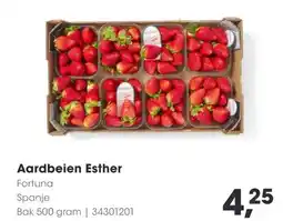 HANOS Aardbeien Esther aanbieding
