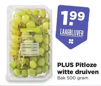 PLUS PLUS Pitloze witte druiven 500g aanbieding