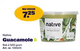 Bidfood Native Guacamole aanbieding