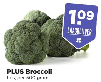 PLUS PLUS Broccoli 500g aanbieding