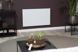 Praxis Eurom infraroodverwarmingspaneel Mon aanbieding