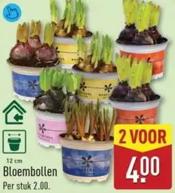 ALDI Bloembollen aanbieding