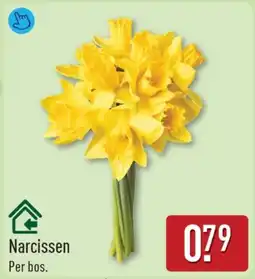 ALDI Narcissen aanbieding