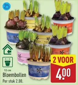 ALDI Bloembollen aanbieding