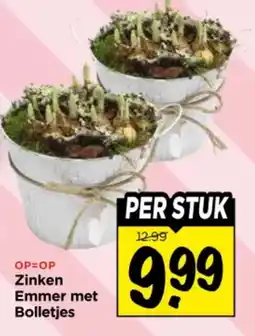 Vomar Voordeelmarkt Zinken Emmer met Bolletjes aanbieding