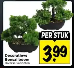 Vomar Voordeelmarkt Decoratieve Bonsai boom aanbieding