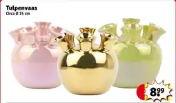 Kruidvat Tulpenvaas aanbieding