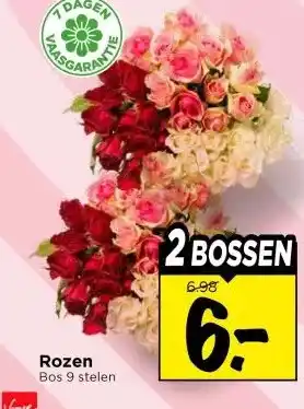 Vomar Voordeelmarkt Rozen aanbieding