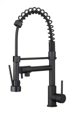 Praxis EsseBagno keukenkraan Big Pro met aanbieding