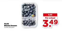 PLUS PLUS Blauwe bessen aanbieding