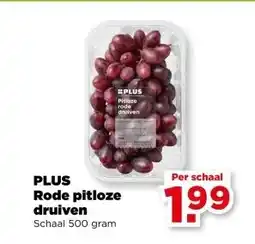 PLUS PLUS Rode pitloze druiven aanbieding