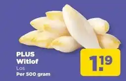 PLUS PLUS Witlof aanbieding